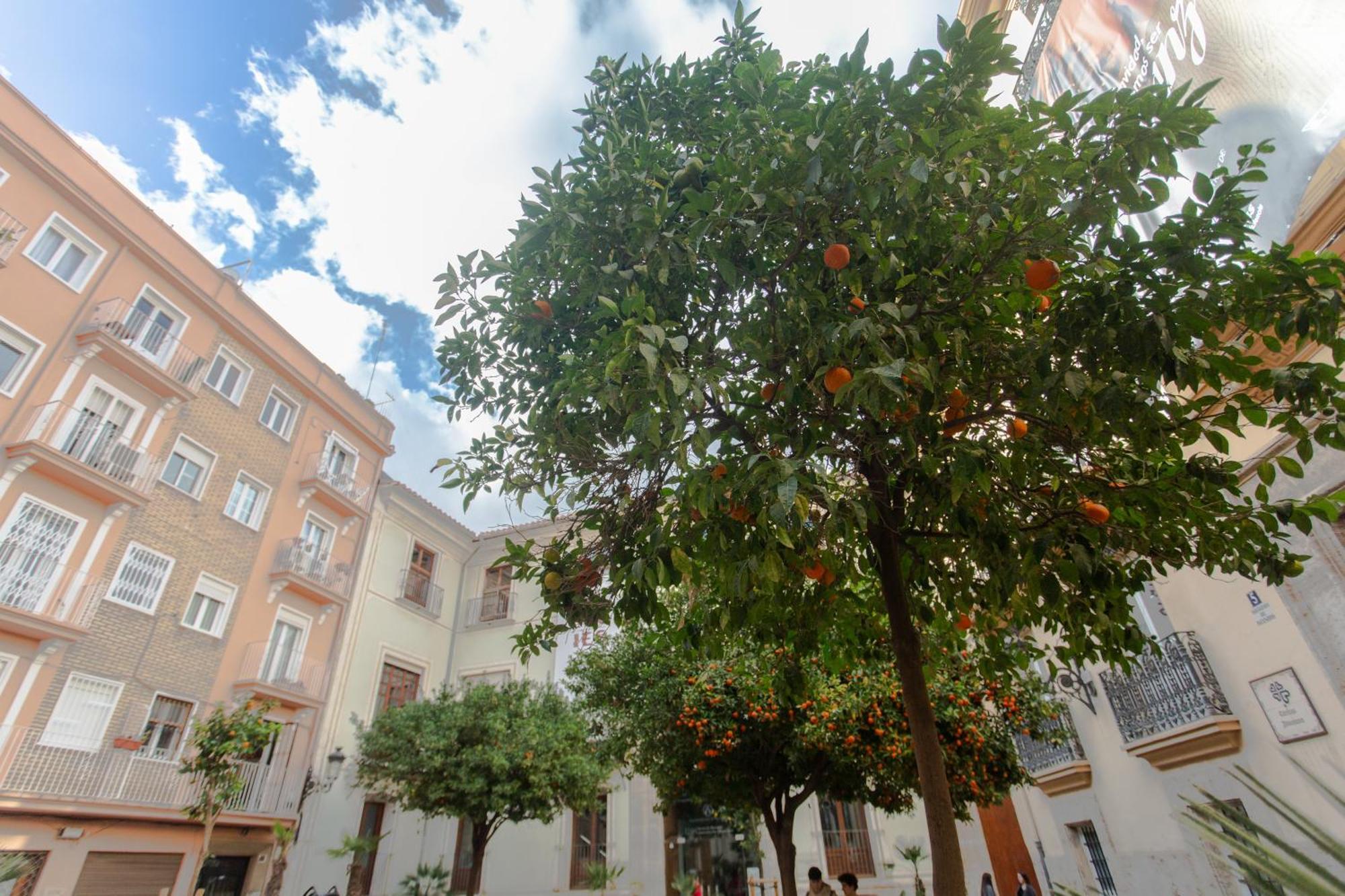 Vlc - Tranquilo Apartamento En Plaza Cisneros Valencia Exterior foto