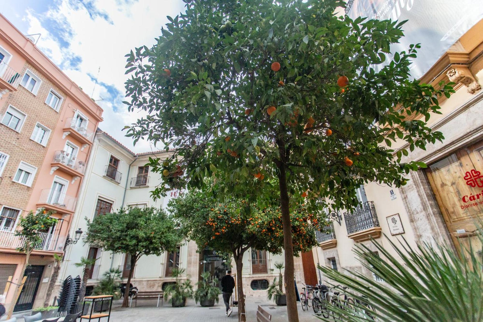 Vlc - Tranquilo Apartamento En Plaza Cisneros Valencia Exterior foto